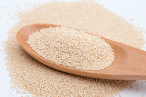 イーストとは？発酵の仕組みと基礎知識について