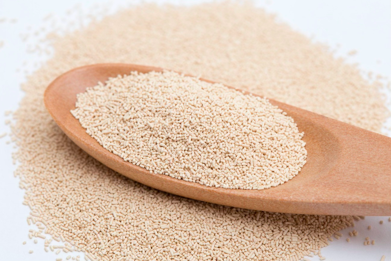 イーストとは？発酵の仕組みと基礎知識について